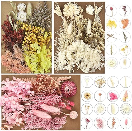 ДАЛАРАН 6 Опаковки, Изсушени Пресовани цветя за производство на Сапуни, Свещи и Смола, Много Естествени Пресовани цветя, Цветни Декоративни