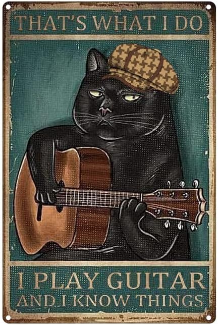 Ретро Котка Метална Лидице Знак Това е, Което аз Правя, Аз Свиря На китара И аз Знам Нещо Черна Котка Забавен Плакат Кафе-Бар,
