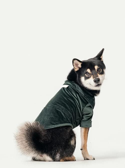 Тениска за домашни кучета PEHOM Stainway, Средна, Зелена