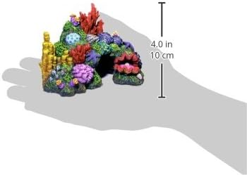 Екзотична среда Австралийски Бариерен риф с Аквариумным орнаменти от миди, Ex Small, с размери 6 на 4 инча с 4-1 / 2 инча