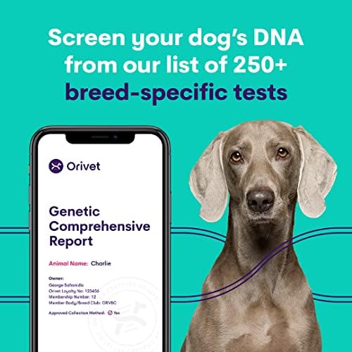 Комплект за анализ на ДНК на кучета ORIVET - Пълен профил порода Бийгъл | Тестване кученце на 250 медицински рискове за здравето